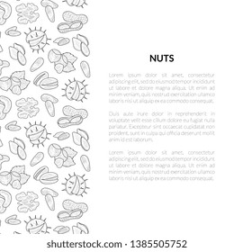 Nuts Banner Template with Place for Your Text, Tasty and Healthy Organic Food, Nuts and Seeds Hand Drawn Vector Illustration