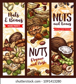 Nuts, beans and fruit seeds mix sketch banners. Vector design of peanut or pistachio and almond, coconut nut and hazelnut or walnut and legume bean, macadamia or filbert nut and sunflower seeds