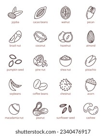 Nuts, beans and seeds vector icons set, editable stroke