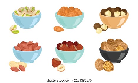 Nuts in bowl collection. Pistachio, almond, hazelnut, macadamia, peanut and walnut. Vector flat illustration isolated on white. Healthy food icon.