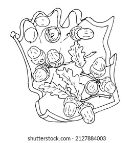 Nuts in a bowl.Doodles ,vector,black and white illustration,coloring book for adults and children.