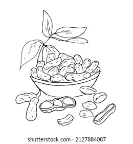 Nuts in a bowl.Doodles ,vector,black and white illustration,coloring book for adults and children.