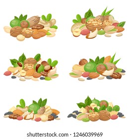 Nuts bunch. Fruit kernels, dried almond nut and cooking seeds. Cellulose food macadamia, walnut and grain nuts. Agriculture diet seeding mix cartoon isolated vector icons set