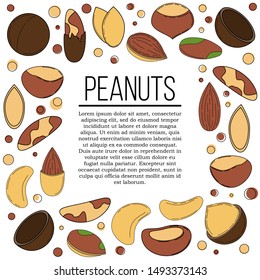 Nuts card concept. Vector illustration for design and web,