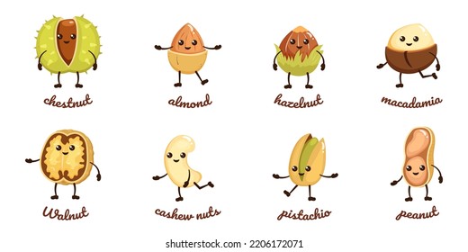 Nuts cartoon characters. Vector kawaii food illustration. Pistachio and peanut with eyes and handles. Smiling macadamas with chestnut