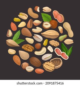 Nuts with Cashew and Almond Arranged in Circle Vector Template