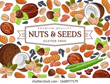 Nuts, cereal grains, beans and seeds poster, gmo free healthy food vector peanut, coconut and hazelnut, pistachio or almond walnut and legume bean pod, macadamia or filbert nut and pumpkin, sunflower