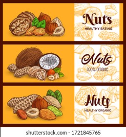 Nuts and cereals sketch banners, cashew and almond, peanuts and pistachio seeds, vector. Vegetarian and vegan natural protein raw food coconut, hazelnut and walnut, muesli breakfast ingredients