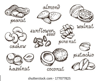 Nuts collection