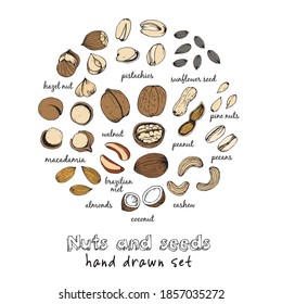 Nuts collection drawings. Sketches. Hand-drawing. Vector illustration. Elements for design.