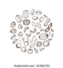 Nuts collection drawings. Sketches. Hand-drawing. Vector illustration. Elements for design.