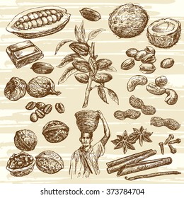 Nuts collection. Hand drawn nuts. Nuts and fruits. Nuts harvest. Picking nuts.