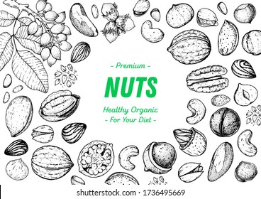 Nuts collection hand drawn sketch. Pistachios, walnut, hazelnut, almond, cashew, pecan nuts vector illustration. Organic healthy food. Great for packaging design. Engraved style. Black and white color