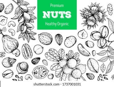 Nuts collection hand drawn sketch. Organic healthy food. Great for packaging design. Pistachios, walnut, hazelnut, almond, cashew, pecan nuts vector illustration. Engraved style. Black and white color