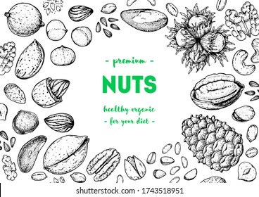 Nuts collection hand drawn sketch. Vector illustration. Organic healthy food. Great for packaging design. Engraved style. Black and white color