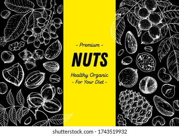 Esbozo dibujado a mano en la colección de nueces. Ilustración vectorial. Alimentos orgánicos saludables. Ideal para el diseño de envases. Estilo grabado. Color negro y blanco