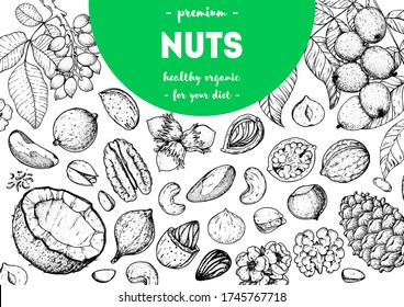 Nuts collection hand drawn sketch. Vector illustration. Organic healthy food. Great for packaging design. Engraved style. Black and white color