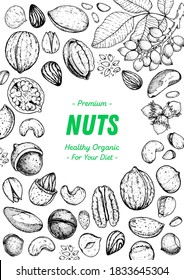 Nuts collection hand drawn sketch. Pistachios, walnut, hazelnut, almond, cashew, pecan nuts vector illustration. Organic healthy food. Great for packaging design. Engraved style. Black and white color