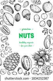 Nuts collection hand drawn sketch. Vector illustration. Organic healthy food. Great for packaging design. Engraved style. Black and white color