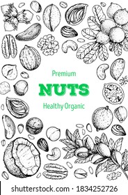 Nuts collection hand drawn sketch. Vector illustration. Organic healthy food. Great for packaging design. Engraved style. Black and white color