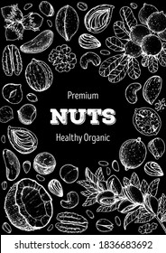 Nuts collection hand drawn sketch. Vector illustration. Organic healthy food. Great for packaging design. Engraved style. Black and white color