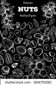 Esbozo dibujado a mano en la colección de nueces. Alimentos orgánicos saludables. Ideal para el diseño de envases. Pistachos, nueces, avellanas, almendras, anacardos, cachiporras de nueces de pecan ilustraciones vectoriales. Estilo grabado. Color negro y blanco