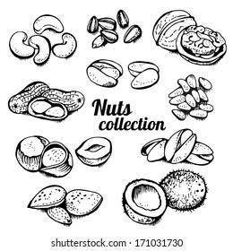 Nuts collection isolated on a white background