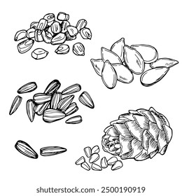 Nuts collection isolated on a white background: cashew, walnut, pistachio, hazelnut, almond, peanut, pine nuts, coconut, sunflower seeds