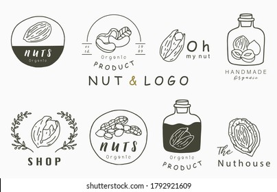 nuts collection logo with hazelnut,walnut,peanut.Vector illustration for icon,logo,sticker,printable and tattoo