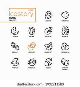 Nuts collection - modern line design style icons set. Black linear images of an almond, chestnut, cashew, pecan, pistachio, walnut, peanut, hazelnut, brazil, macadamia, pine, coconut, apricot kernel