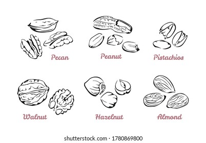 Nuts Seeds Icon Set Stock Vector (Royalty Free) 1633537636 | Shutterstock