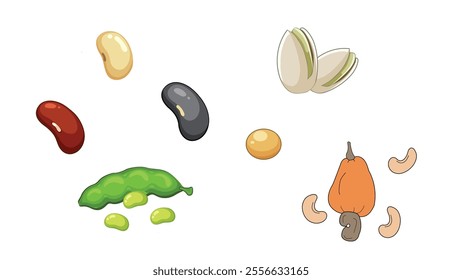 Nuts collection. Vector of various types of Nuts isolated on white background