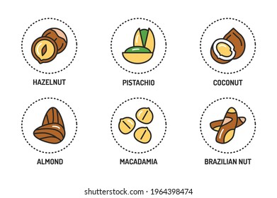 Nuts  color line icons set. Isolated vector element. Outline pictograms for web page, mobile app, promo