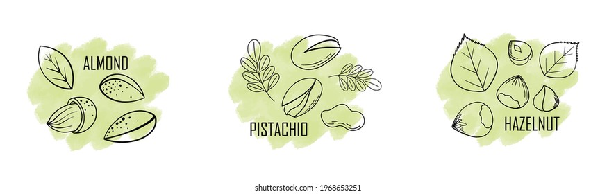Nuts color line icons set. Nuts are the hard-shelled fruit of certain plants.Cashew, hazelnut, almond,  peanut, pistachios. Pumpkin, sunflower, flax seeds.Vector illustration in cartoon flat style. 