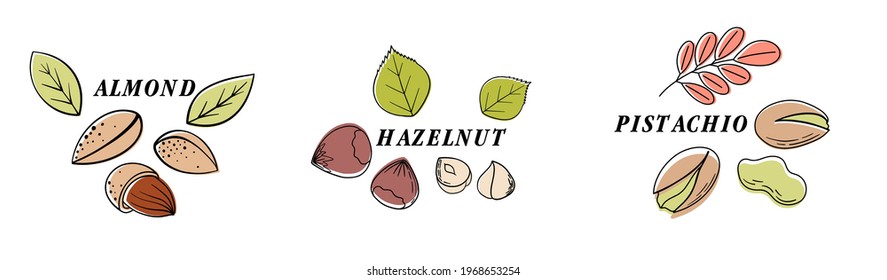 Nuts color line icons set. Nuts are the hard-shelled fruit of certain plants. Hazelnut, almond, walnut, pistachios. Pumpkin, sunflower, flax seeds.Vector illustration in cartoon flat style. 