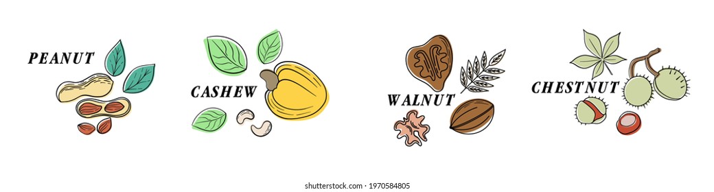 Nuts color line icons set. Nuts are the hard-shelled fruit of certain plants. Cashew, chestnut, hazelnut, almond, walnut, peanut, pistachios. Pumpkin, sunflower, flax seeds.Vector illustration in cart