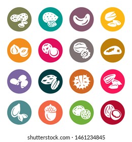 Nuts colourful vector icon set
