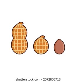 nuts comparison, simple vector design