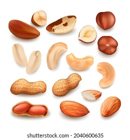 Nuts Delicious Natural Bio Nutrition Set Vector. Peanut And Brazil Nuts, Cashew And Hazelnut Fresh Food In Shell And Cut Pieces. Fresh Harvesting Seed Nutriment Template Realistic 3d Illustrations