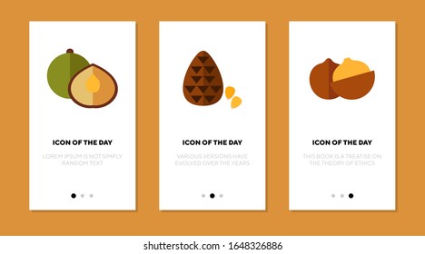 Nuts für Diät flach Symbol gesetzt. Köstliches, kleines, teures Schild für einzelne Vektorillustrationen. Konzept für Ernährung und Gesundheit. Symbolelemente für Vektorillustration für Webdesign und Apps