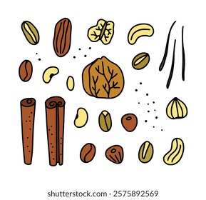 Nuts doodle illustrations. Cute nuts and spices illustrations on white background.