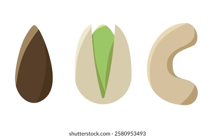Nuts in flat design vector set of illustrations. Collection of nuts, seeds icons, infographic elements isolated on white background. Almond, Pistachio, Cashew