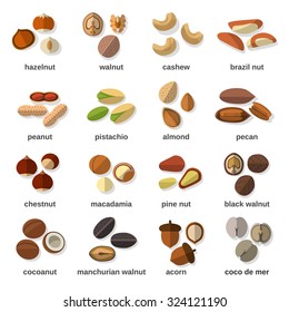 Nuts ícones planos definidos com avelã castanha de caju amendoim isolado ilustração vetorial