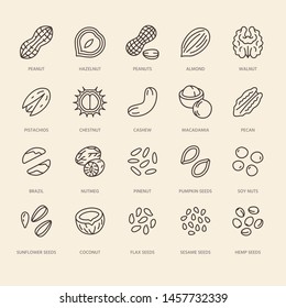 Nuts flat line icons set. Peanut, almond, chestnut, macadamia, cashew, pistachio, pine seeds vector illustrations. Outline signs for healthy food store.