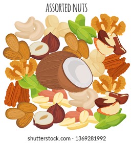 Nuts flat set. Food organic. Coconut, pistachio, brazil nut, hazelnut, almond, macadamia, peanut, pecan, walnut, cashew. Vector