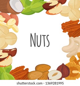 Nuts flat set. Food organic. Coconut, pistachio, brazil nut, hazelnut, almond, macadamia, peanut, pecan, walnut, cashew. Vector