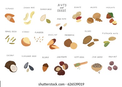 nuts food collection vector doodle set.