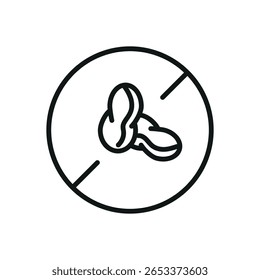 Nuts Free Vector icon isolated on white background
