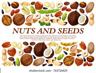 Afiche de nueces y semillas de frutas o granos. Maní vectora o coco y avellanas, nuez de pistacho o almendras y vainas de leguminosas, semillas de macadamia o de filbert, calabaza o girasol y judía de café