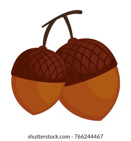 nuts fruits isolated icon